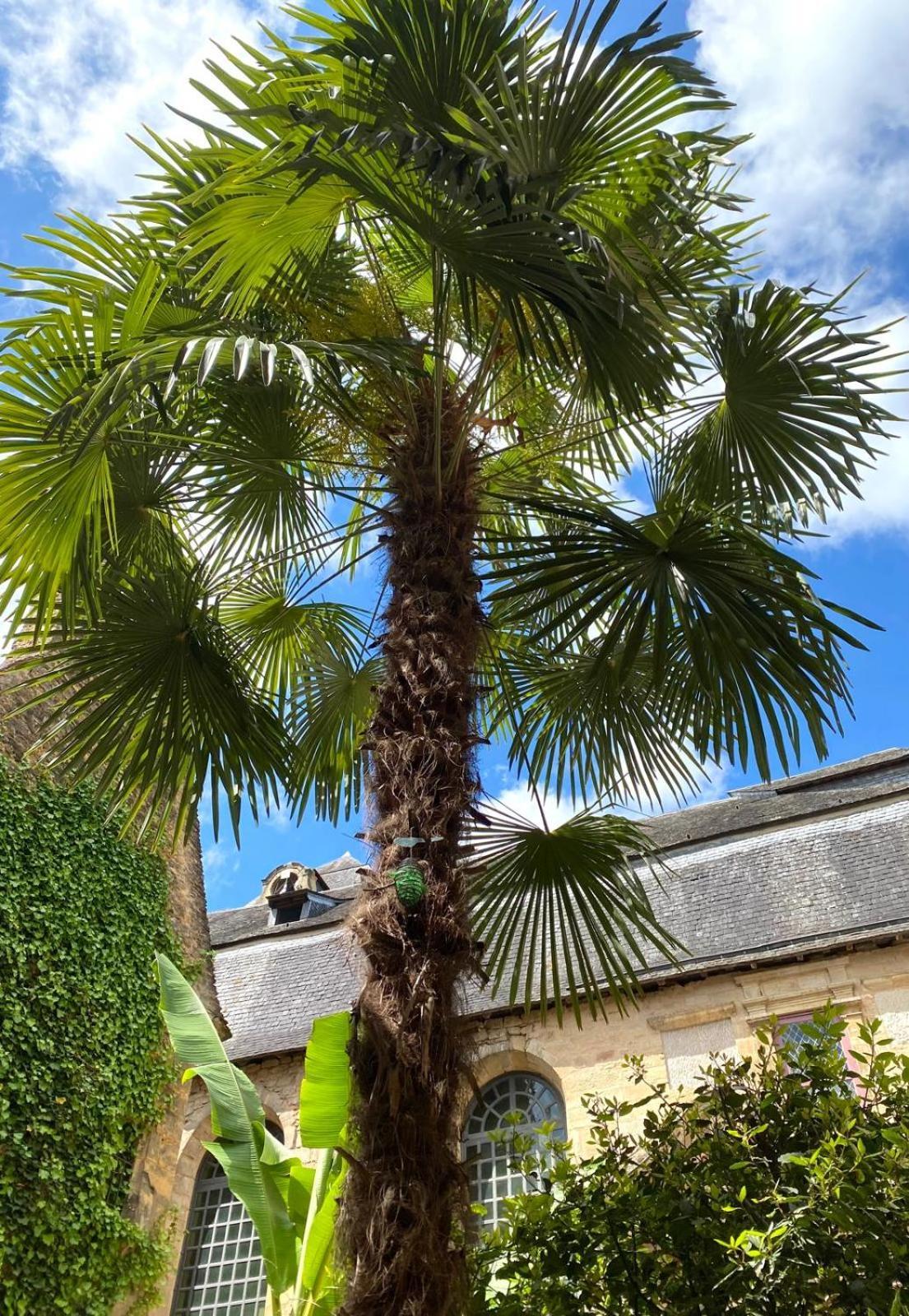 La Villa Des Consuls - Gite De Tourisme De Charme サルラ・ラ・カネダ エクステリア 写真